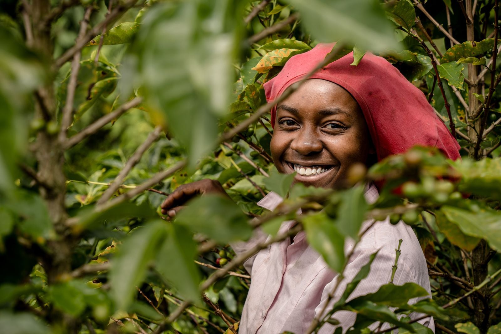 Mujeres en el campo