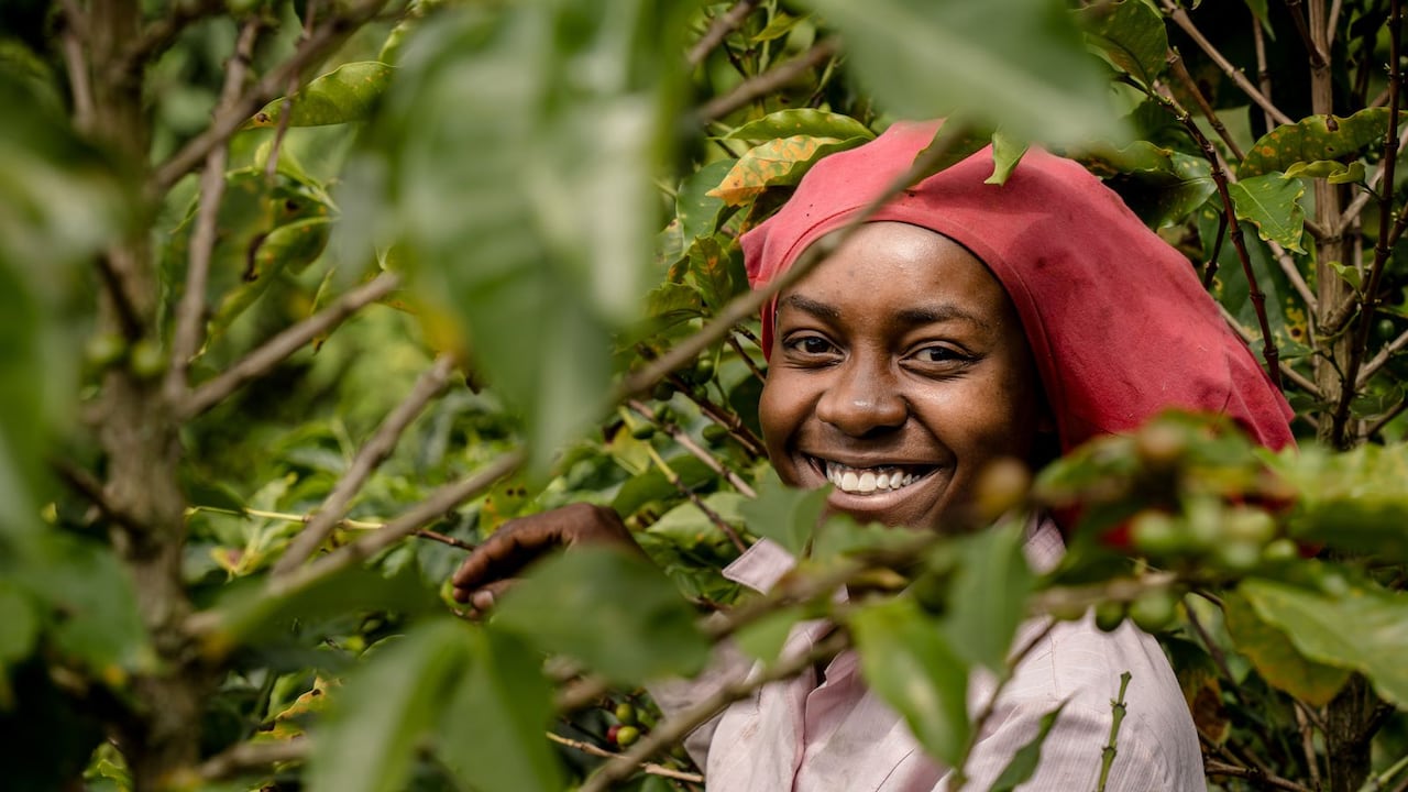 Mujeres en el campo