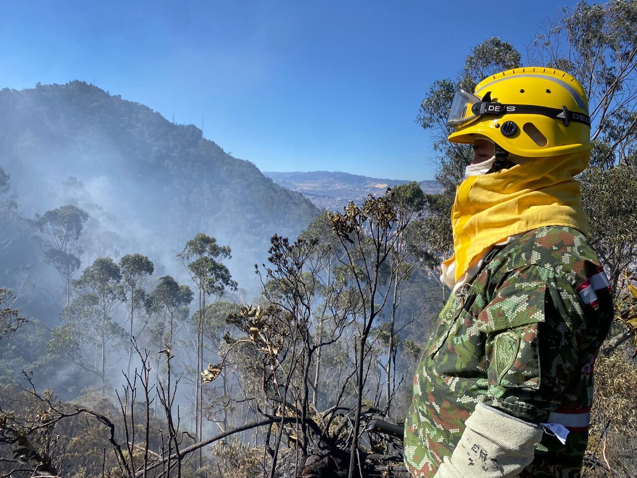 Incendio forestal en los cerros orientales  en Bogotá
