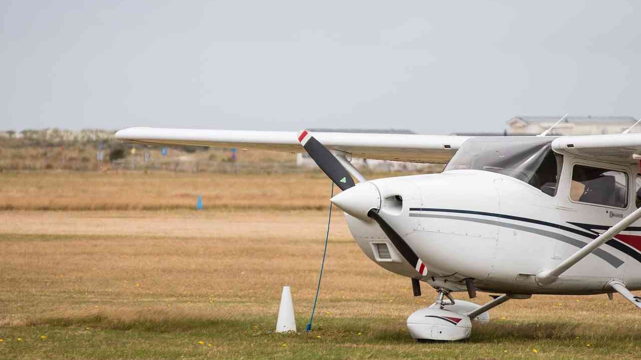 Imagen de referencia.