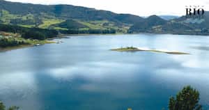 Aliso, arrayán, cedro, cerezo, ciro, cucharo y duraznillo, son algunos de los ejemplares que pueden desarrollarse en el bosque alto andino y zonas de páramo.