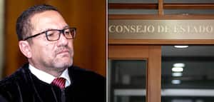 César Palomino, Consejo de Estado