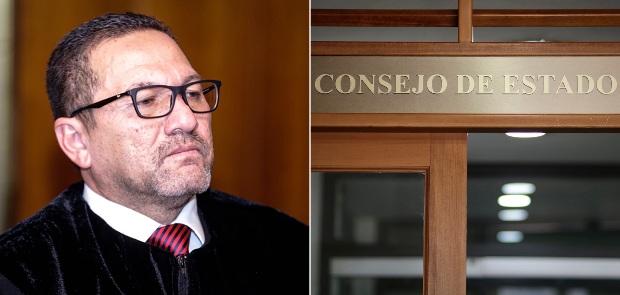 César Palomino, Consejo de Estado