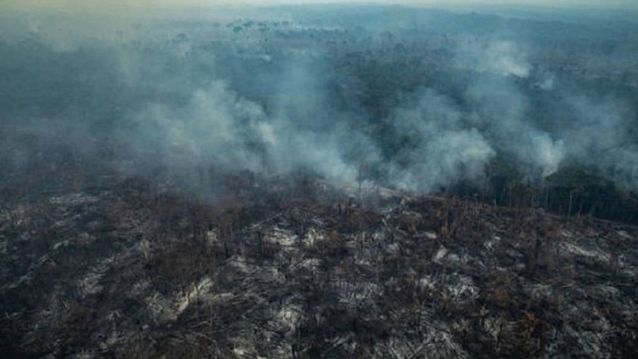 Los incendios en Brasil aún no se han logrado extinguir. Foto: Greenpeace