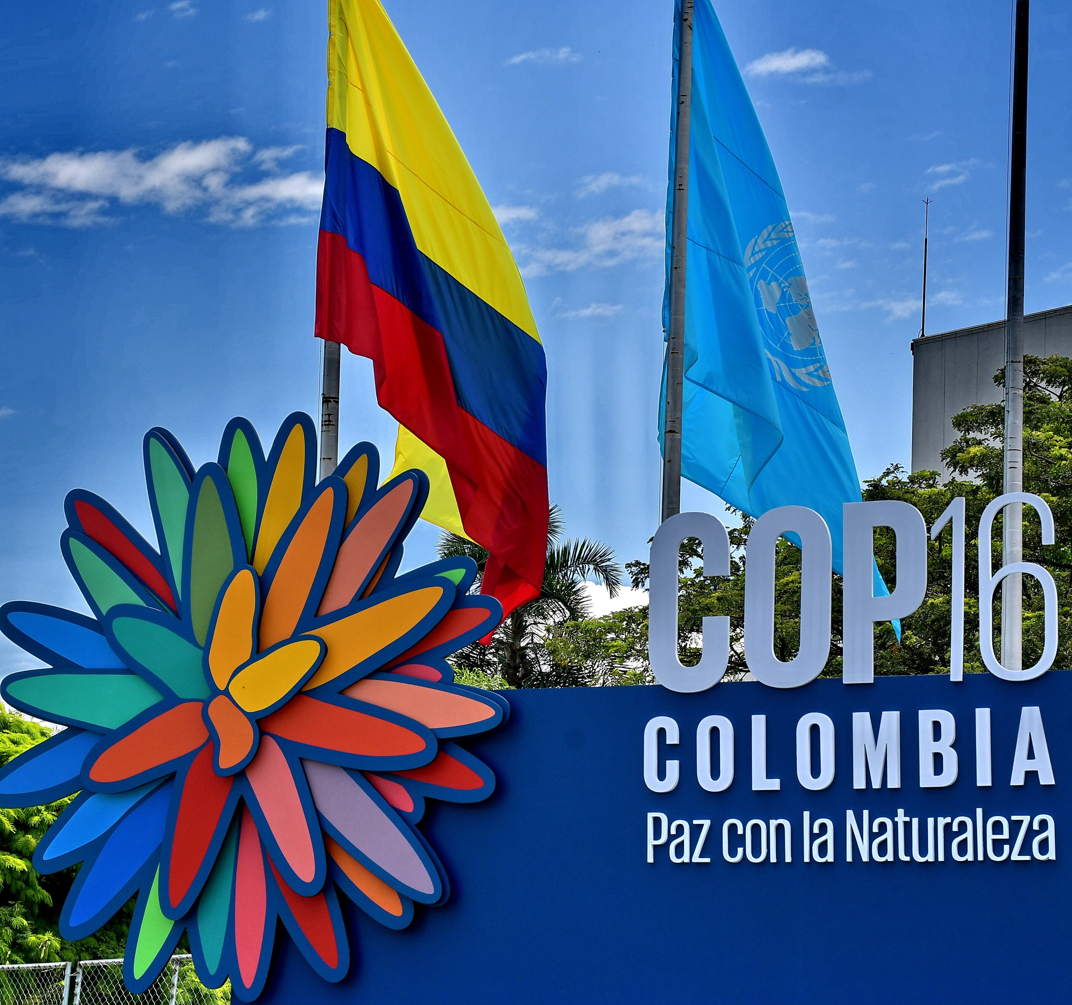 ONU izó su bandera y el Centro de Eventos Valle del Pacífico se convirtió en zona de jurisdicción internacional para albergar la COP16.
En presencia de las principales autoridades del Valle del Cauca y de las Naciones Unidas, se izó la bandera de la ONU en el Centro de Eventos Valle del Pacífico, marcando así la oficialización de la llegada de la COP16 a la ciudad. Fotos Raúl Palacios/ El Pais.