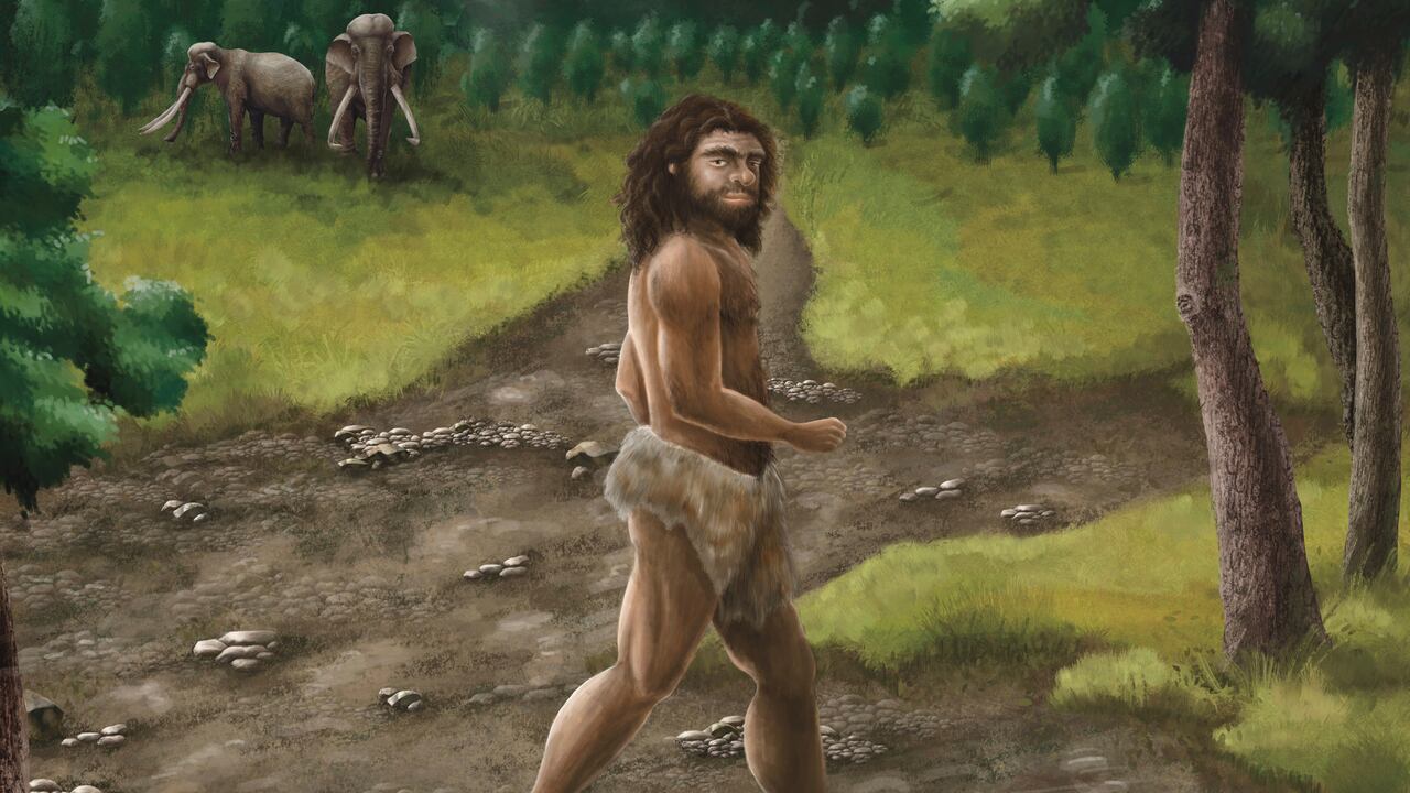 El hallazgo de una mandíbula en Taiwán desafía lo que se sabía sobre los denisovanos.