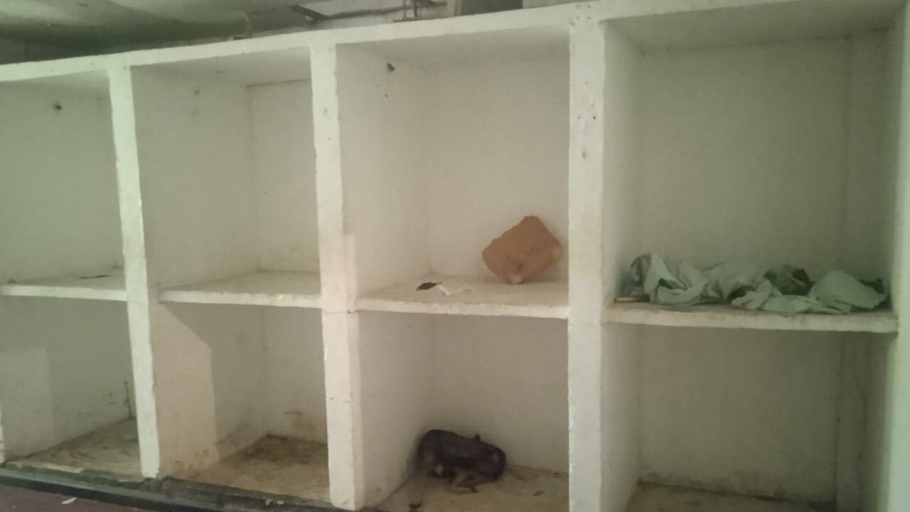 Soldados en Malambo denuncian condiciones insalubres en su alojamiento