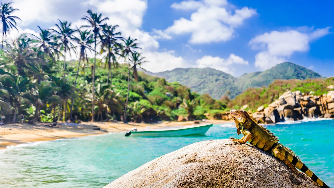 El Parque Nacional Natural Tayrona es una de las maravillas naturales que tiene Santa Marta y Colombia.