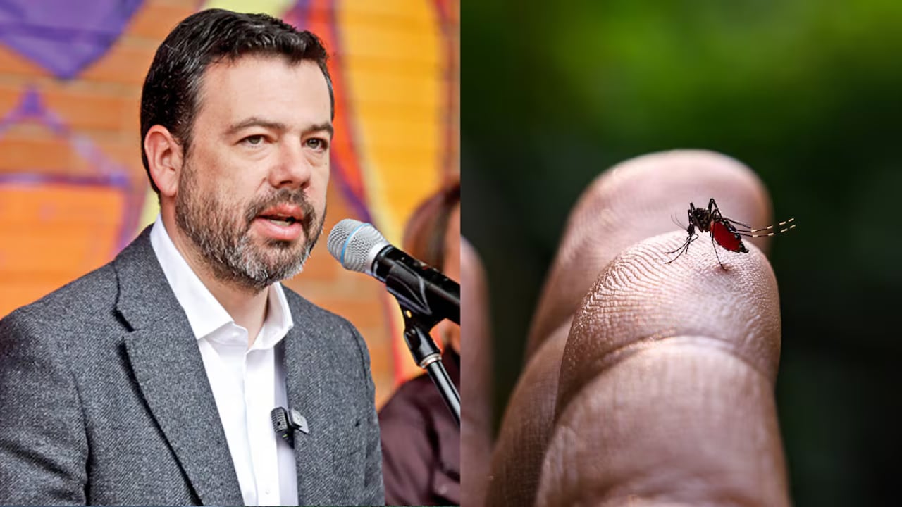 Alcalde Carlos Fernando Galán habla sobre la fiebre amarilla en Bogotá.