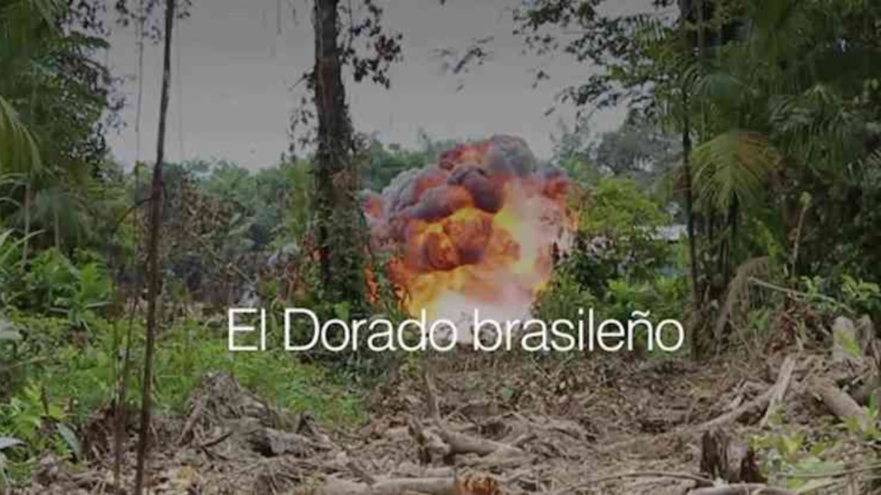 La minería ilegal se sirve de aparatos conocidos como dragones brasileños. Son dragas enormes que causan un irreparable daño ambiental.
