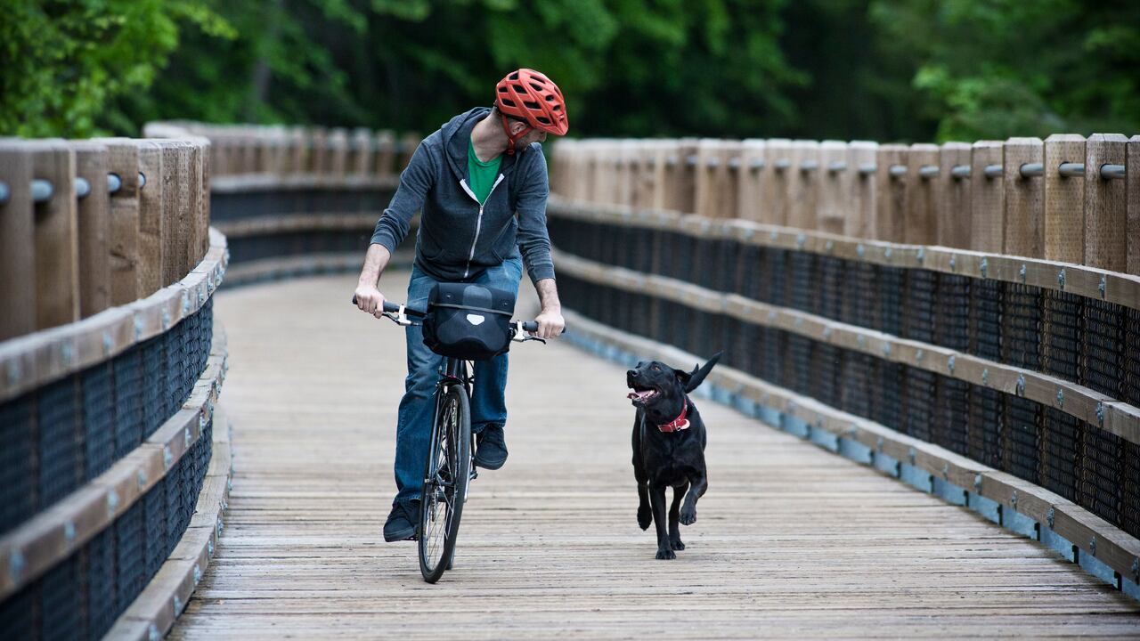La OMS asegura que el uso de la bicicleta reduce los niveles de colesterol en la sangre, minimiza los niveles de estrés, mejora el estado de ánimo y ayuda a combatir la obesidad.