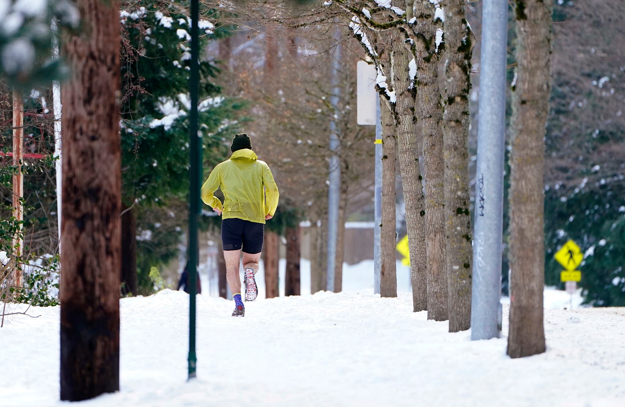 Las postales que nos deja el invierno en el mundo.