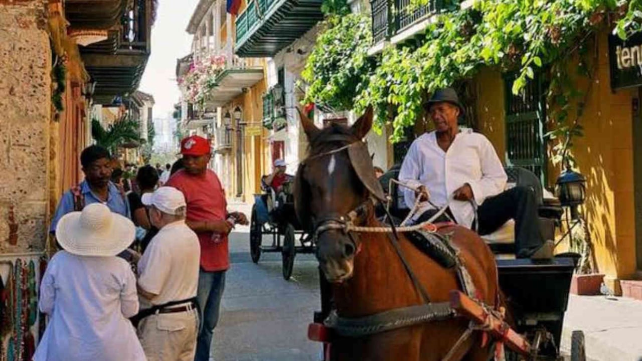 Los coches turísticos son una de las actividades más tradicionales de Cartagena, pero, de igual forma, una de las labores más cuestionadas en la actualidad por el uso de caballos. Foto: Asociación Cartagenera de Cocheros - Colombia hoy.