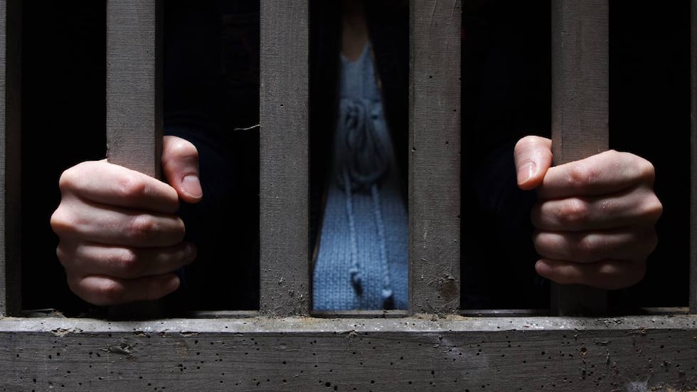 975 Bre Maltrato animal en Bogotá: juez falló judicialmente contra comerciante ...