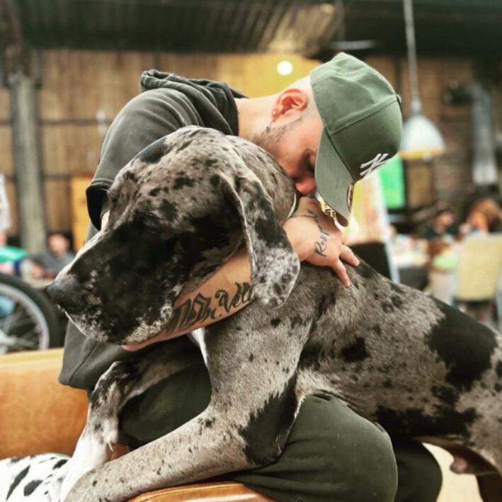 Las autoridades investigan los hechos desde que fueron alertados.