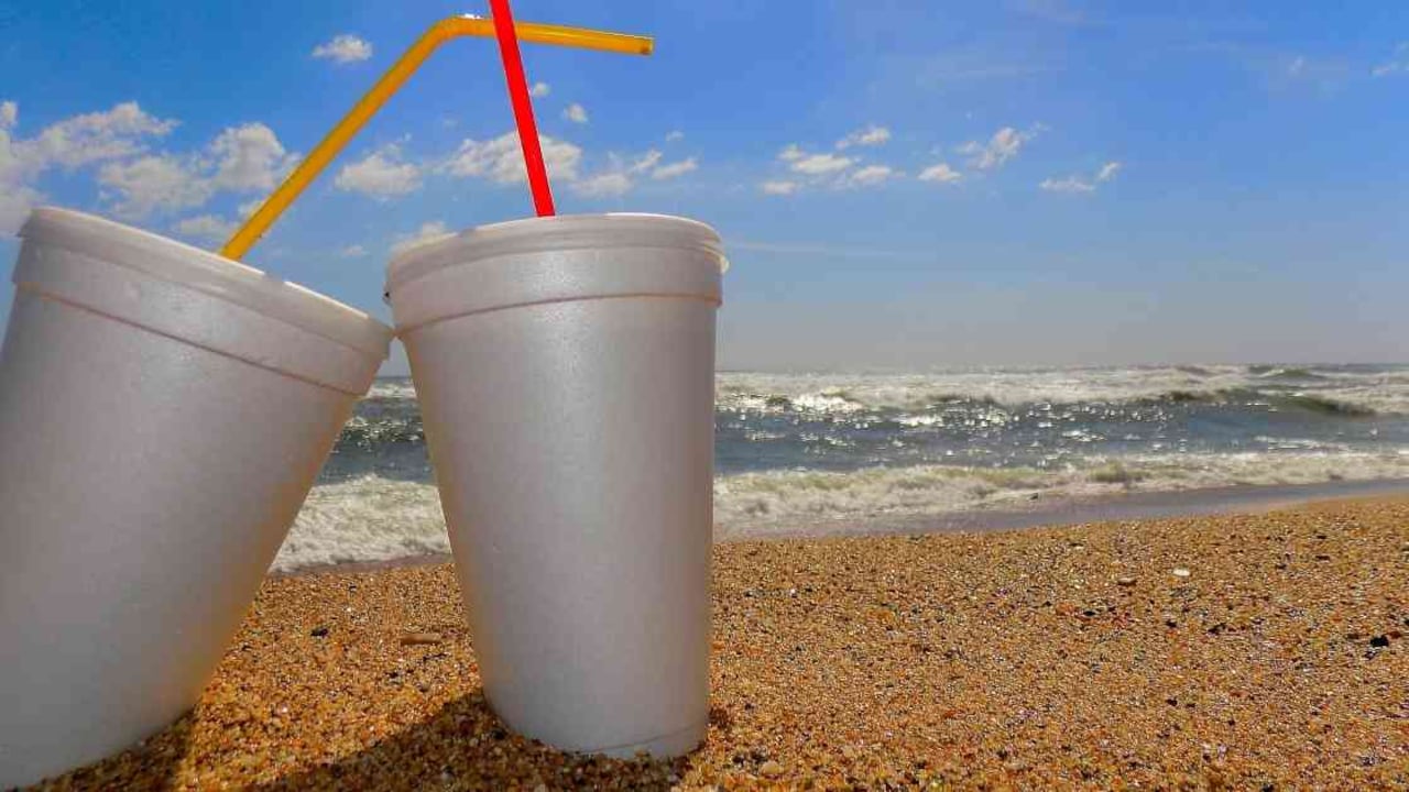 La ley contempla la prohibición en el ingreso de productos de icopor a zonas costeras, playas, ríos, parques naturales y áreas protegidas del país. Foto: Pixabay.