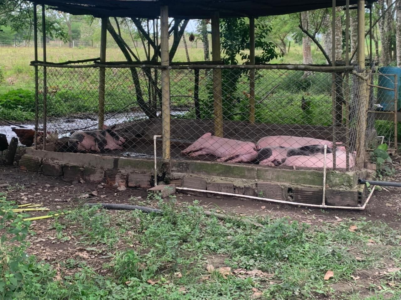 Cormacarena alerta por construcción ilegal que pone en riesgo la ribera del río Guatiquía: “están construyendo en zona protegida”