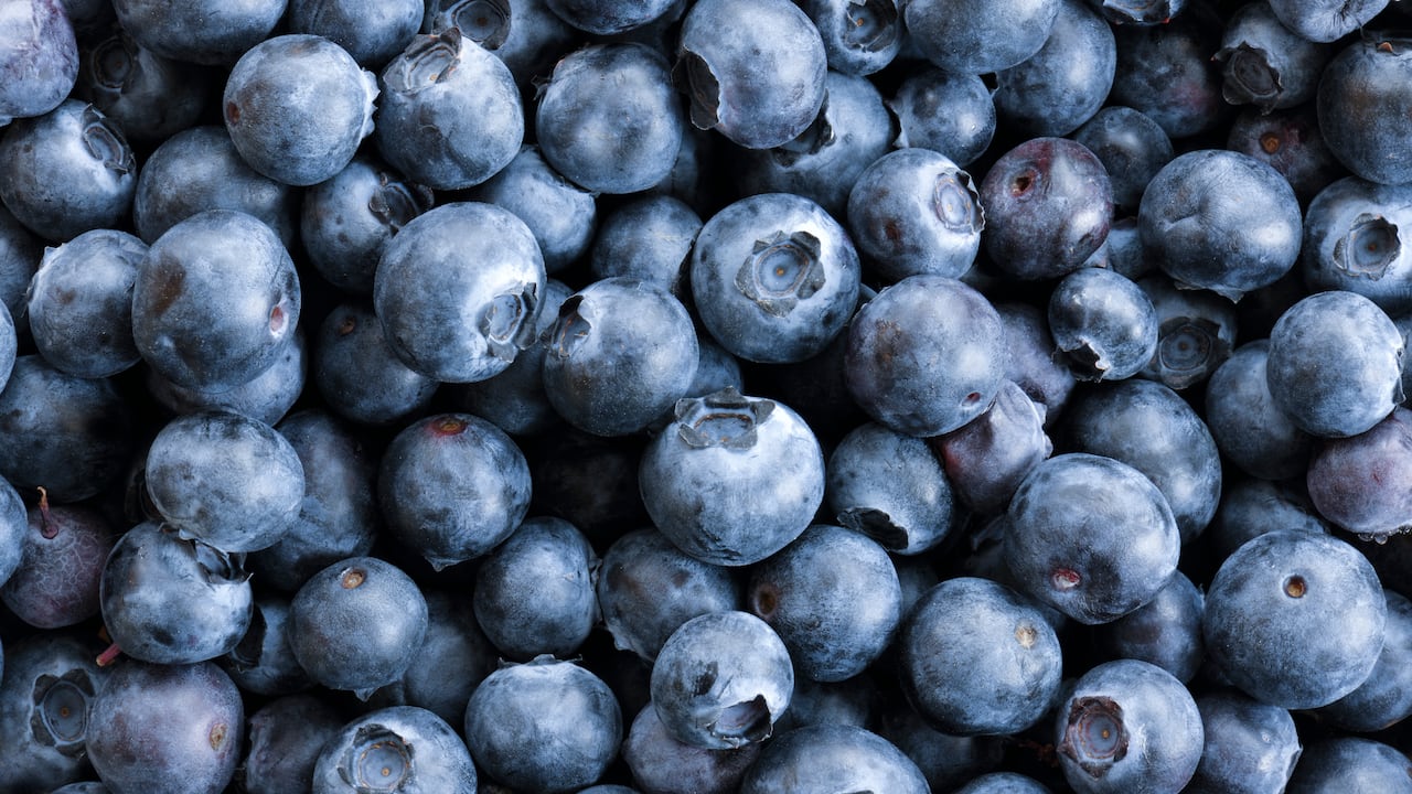 Los beneficios de los arándanos para la salud son variables: ayudan al cerebro, al corazón y al sistema digestivo.