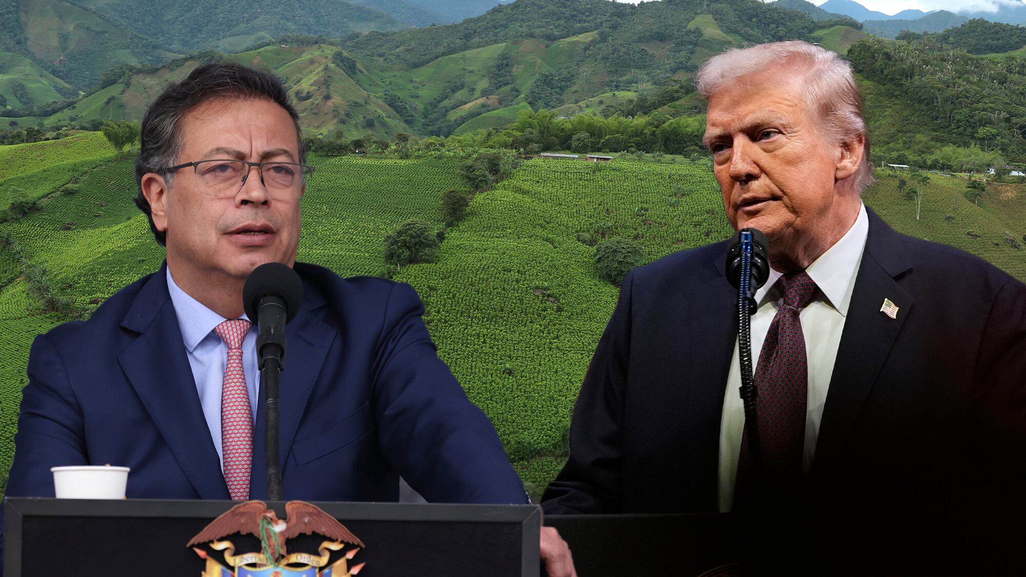 Donald Trump, Gustavo Petro cultivo coca