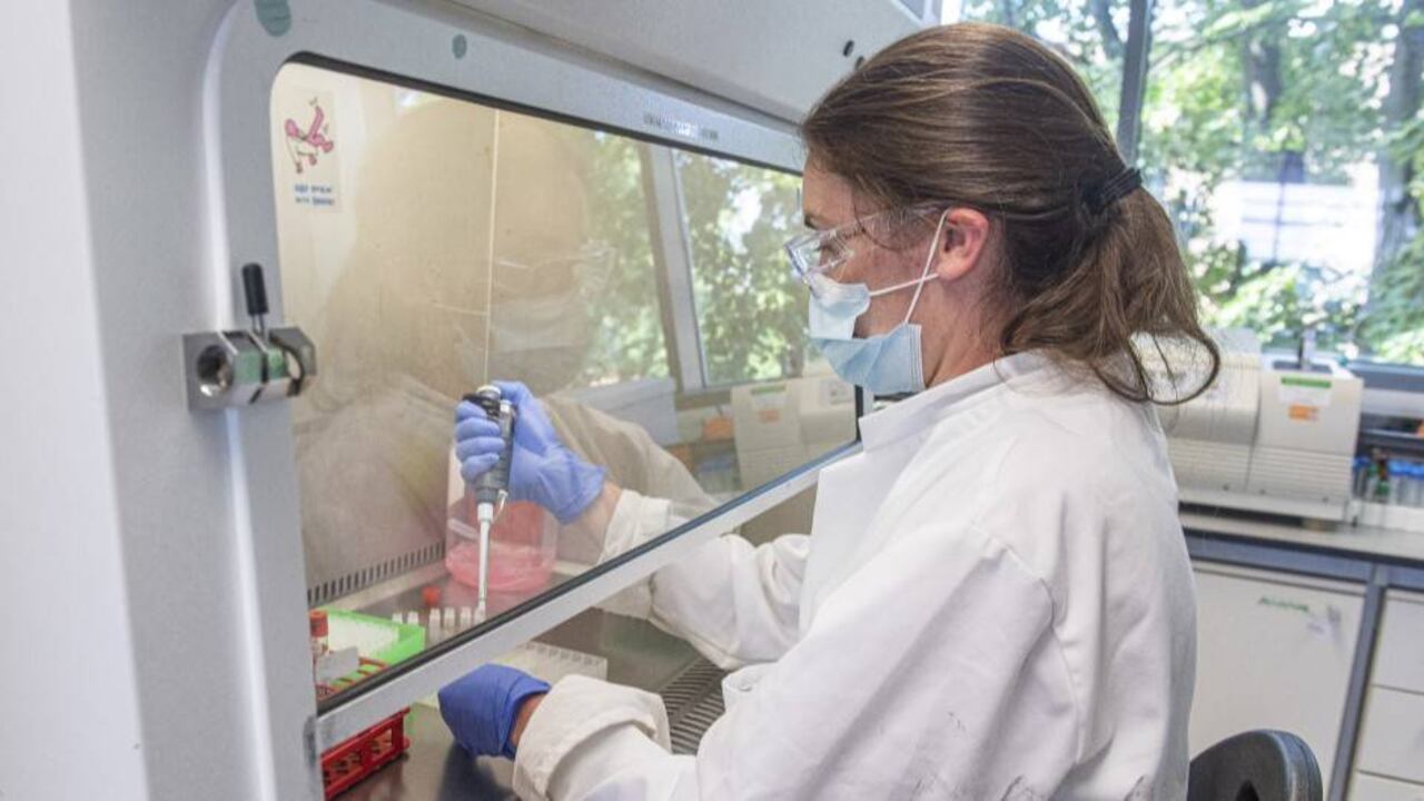 Proyecto de vacuna de la Universidad de Oxford.