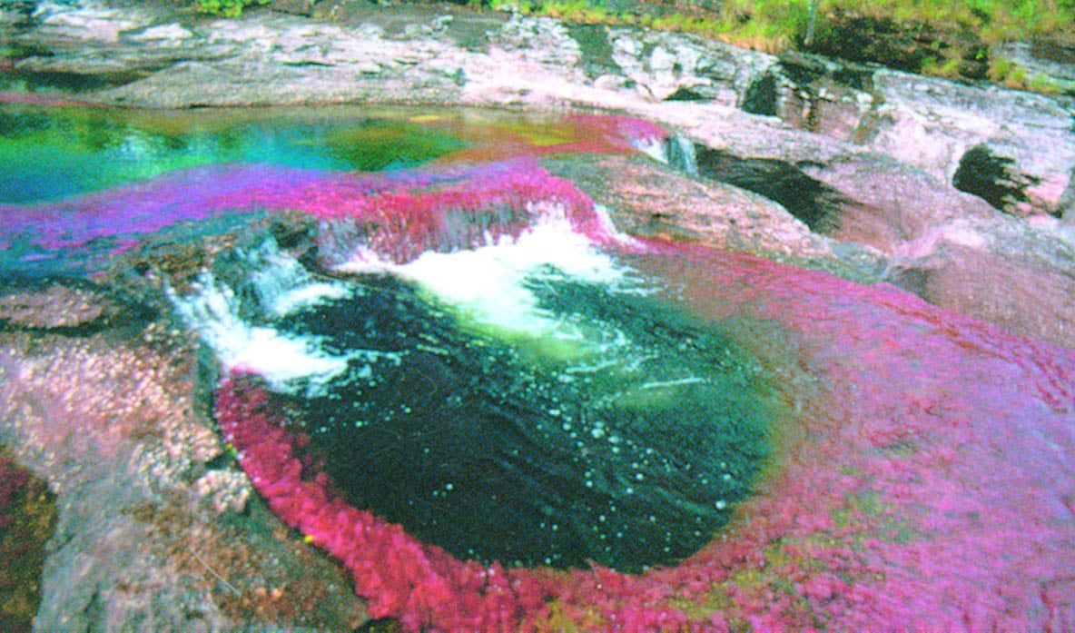  Caño Cristales es uno de esos sitios que no puede dejar de visitar