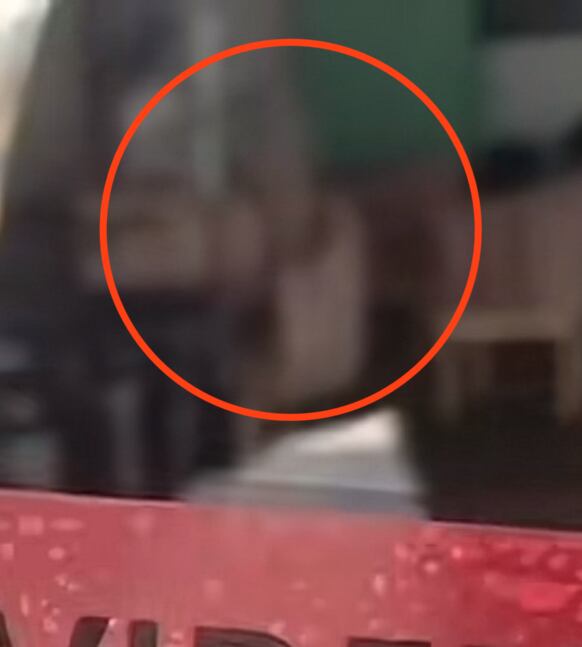 Usuarios en redes sociales manifiestan ver figura fantasmal en local de Valeria Márquez.