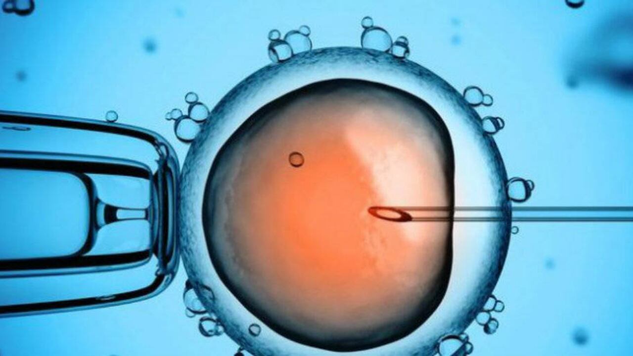 Según los expertos en fertilidad la razón del alto costo de los tratamientos es el precio de los medicamentos, que son altos no solo aquí en Colombia sino en todo el mundo.