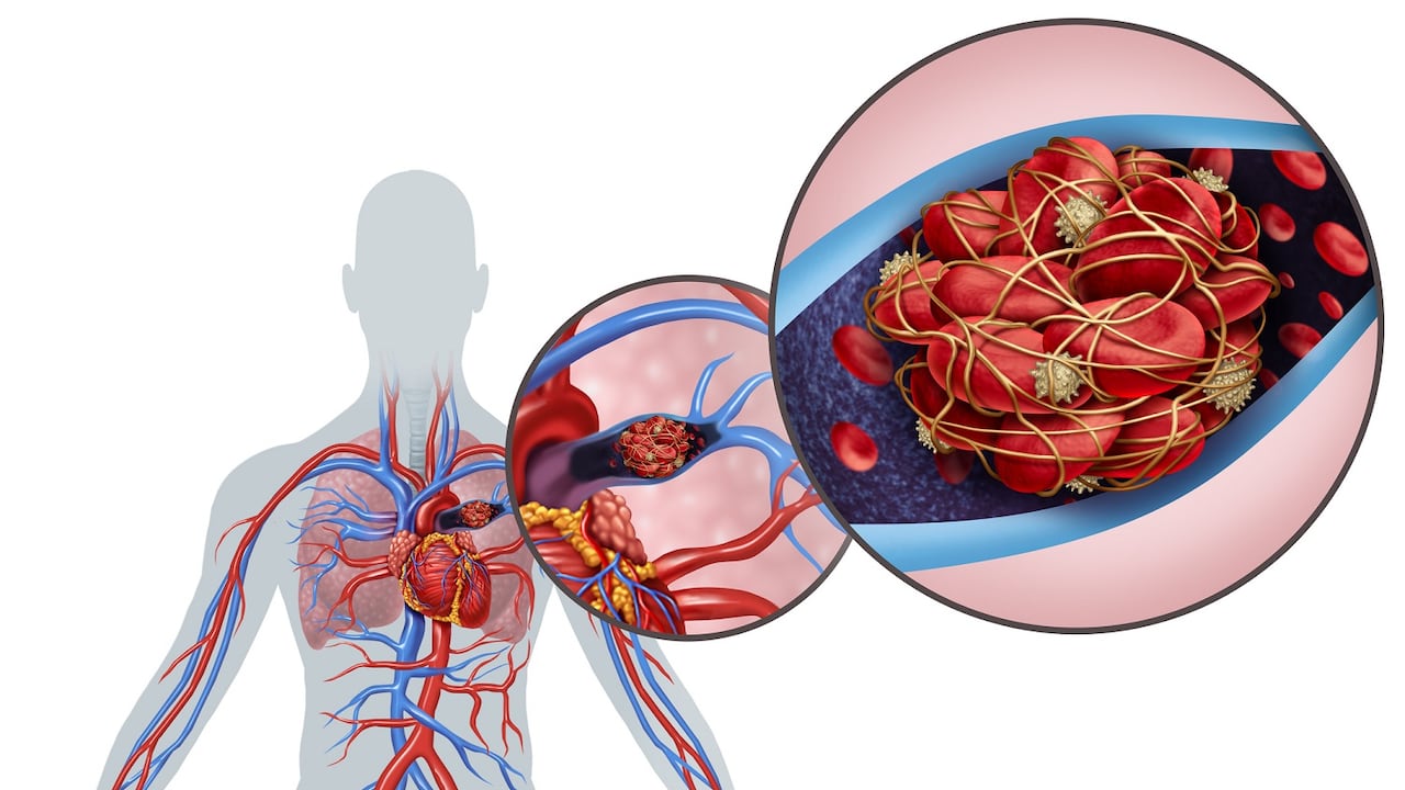 Circulación de la sangre