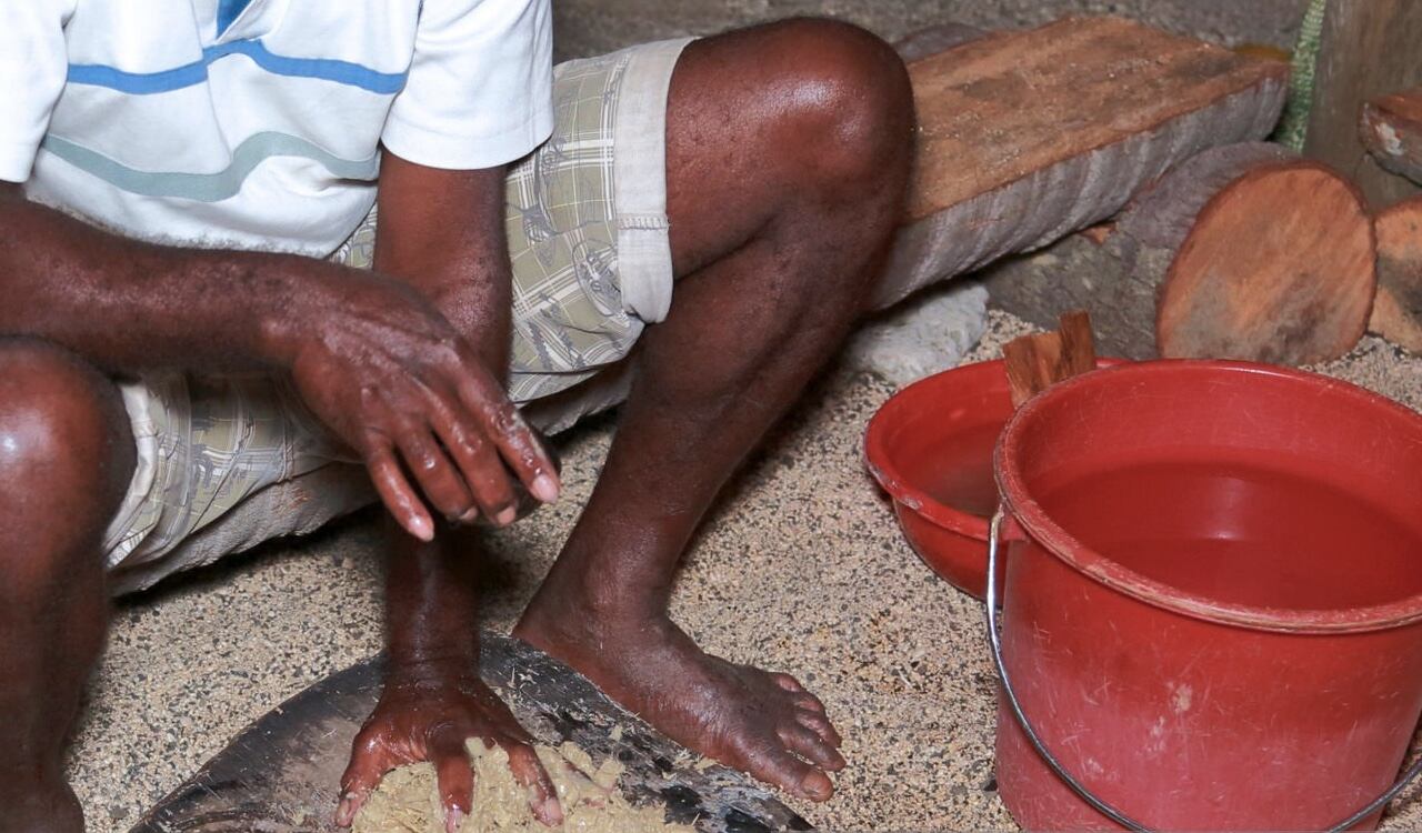 Al ser triturada, quedando en polvo, es mezclada con agua o leche de coco para luego consumirla