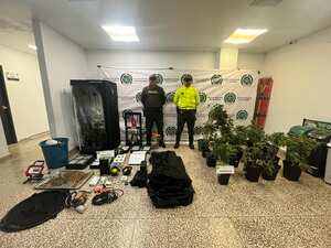 Policía informó que fue desmantelado un laboratorio de marihuana en el norte de Barranquilla.