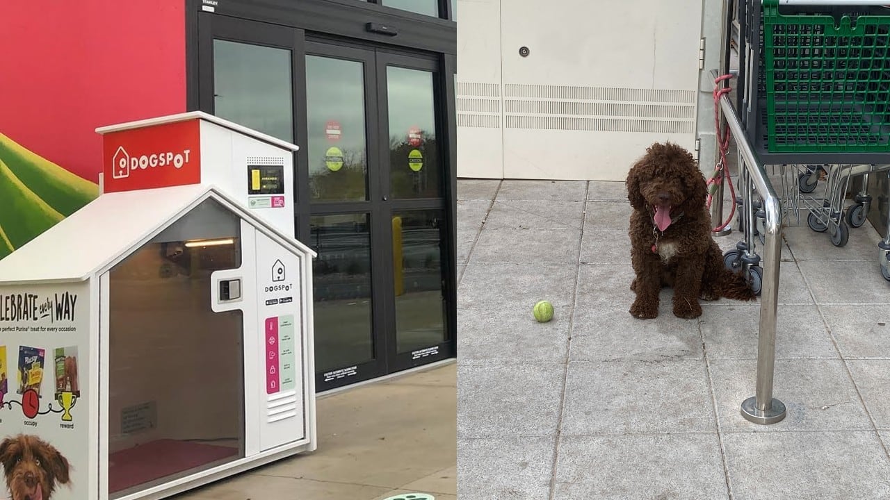 Los impulsores de esta iniciativa destacan que la creación de estos espacios responde a una necesidad cada vez más frecuente entre los dueños de mascotas.