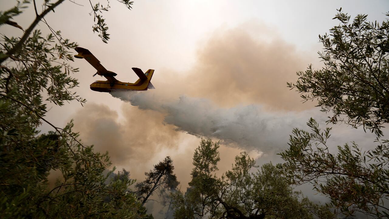 Incendio forestal en Pefki Village en la isla de Evia, a unos 189 kilómetros al norte de Atenas, Grecia