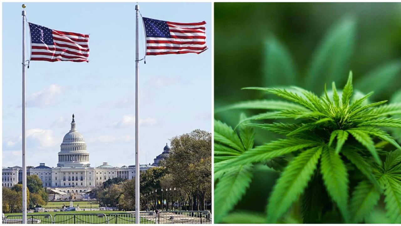 Cámara de Representantes de EE. UU. aprueba despenalizar la marihuana a nivel federal