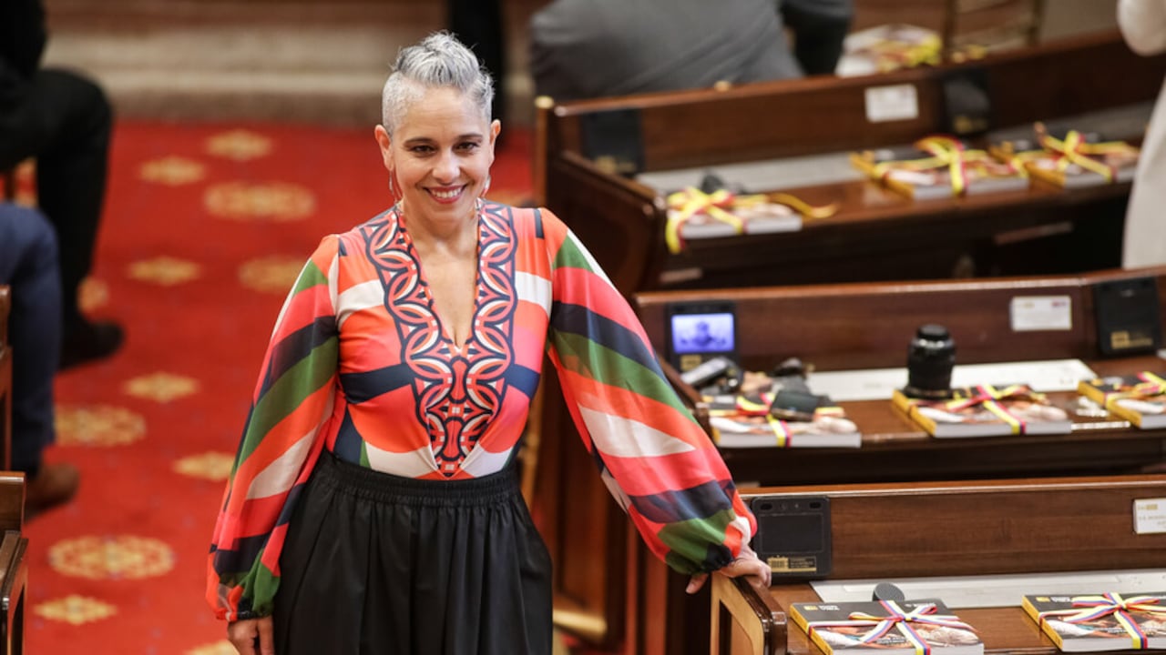 María José Pizarro, primera vicepresidenta del Senado.