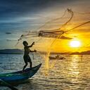 Se espera que que para el 2030 al menos el 10 por ciento del PIB provenga de actividades ligadas a la bioeconomía.