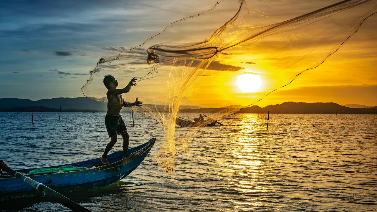 Eurocámara considera ayudar al sector pesquero de la UE tras conflicto en Ucrania. Foto: DNP