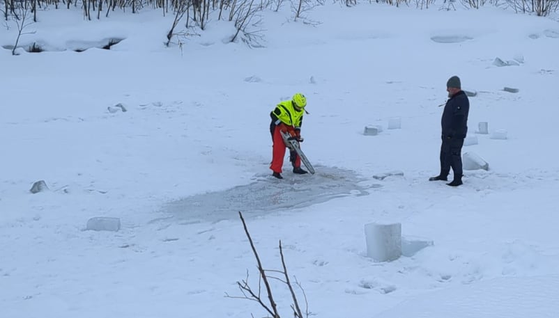 Tragedia tras encontrar cuerpo de Amanda junto con el de su mascota
