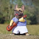 Perro disfrazado