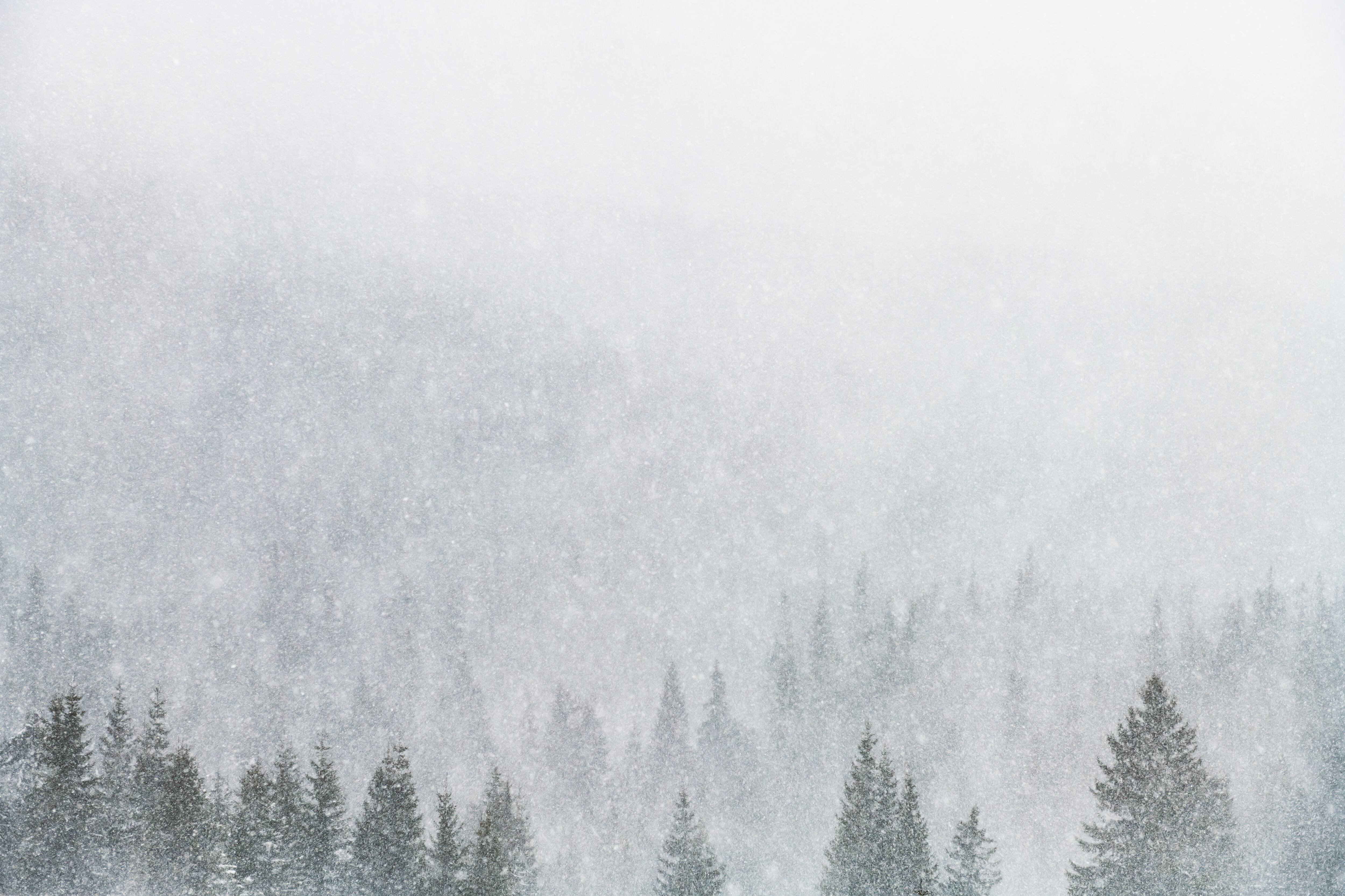 El Servicio Meteorológico Nacional (NWS) ha emitido otro aviso de tormenta invernal para partes del noroeste de Montana