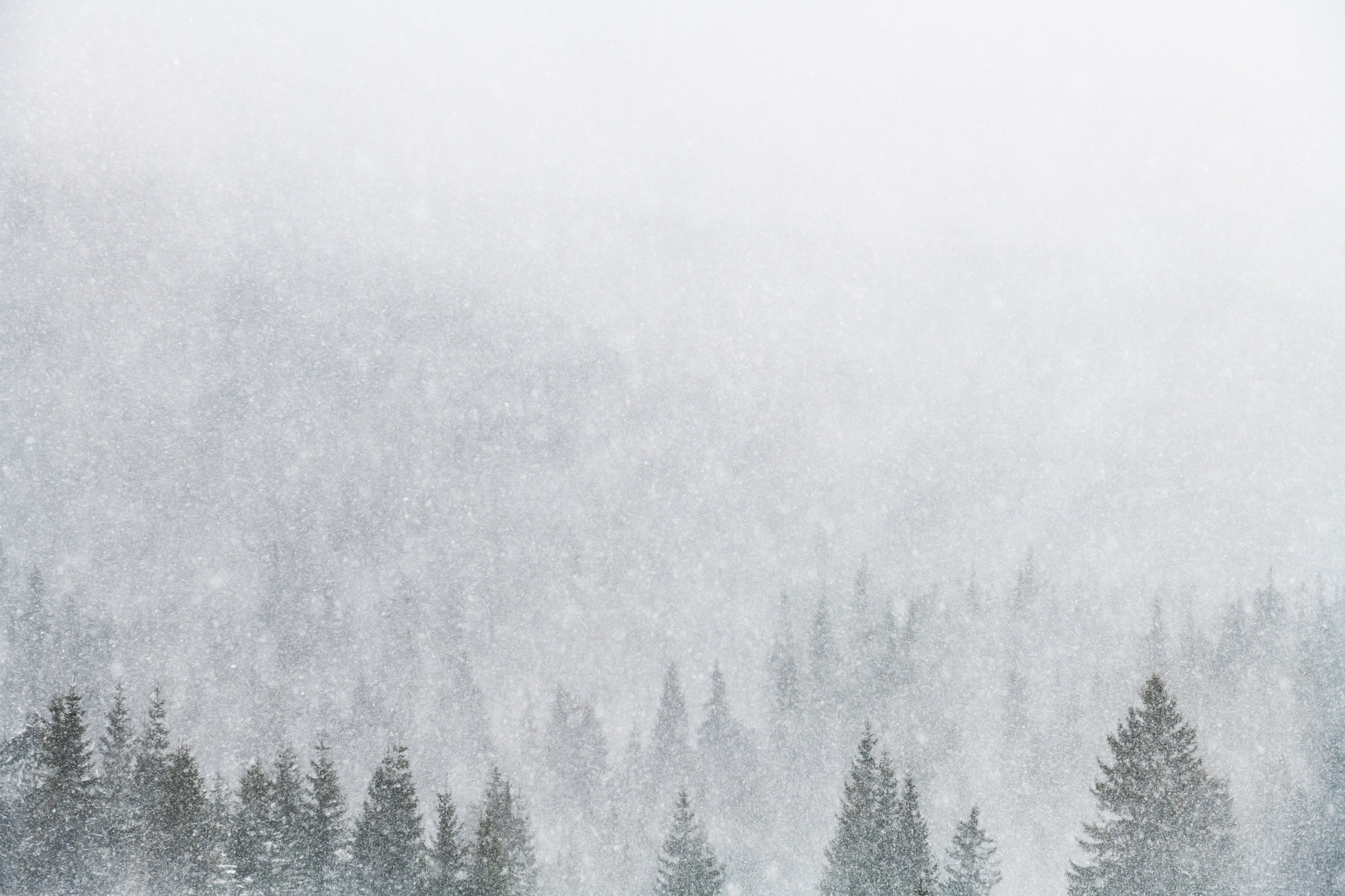 El Servicio Meteorológico Nacional (NWS) ha emitido otro aviso de tormenta invernal para partes del noroeste de Montana