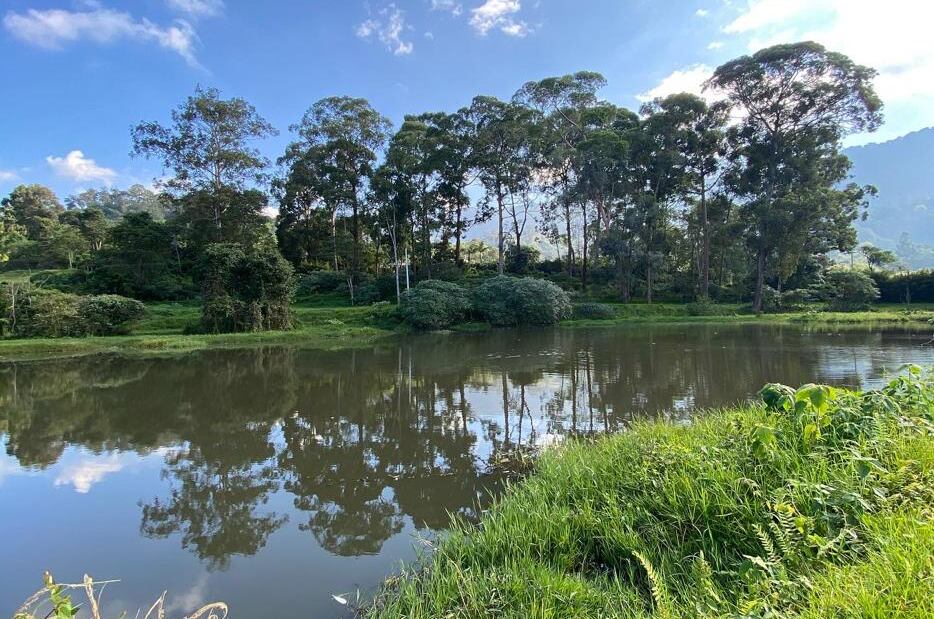 Según expertos, los suelos de la cuenca del río Bogotá son los más cultivables del país.