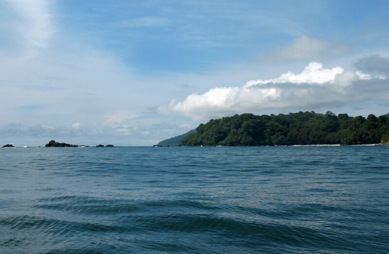 Con la conciencia del respeto y el cuidado al medio ambiente, los turistas pueden dedicarse a disfrutar de los planes y las aventuras que ofrece Gorgona, como caretear y observar peces de todos los colores, tamaños y formas: El pez globo, pargos, meros, tortugas enormes, el tiburón aletiblanco, el martillo, mantarrayas, entre muchos otros.