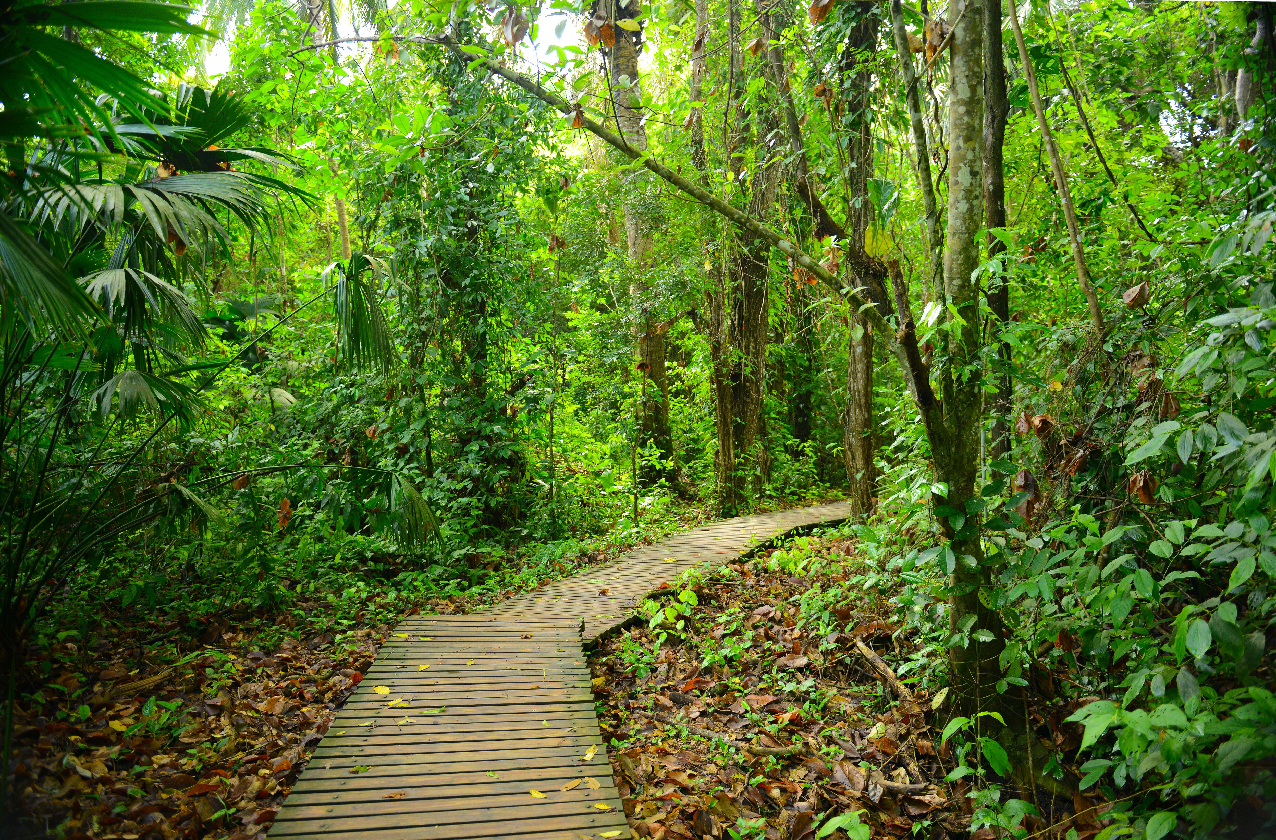 Ciudad Perdida, en Santa Marta: historia y cómo llegar a este maravilloso destino de Colombia