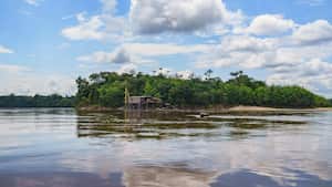 El mercurio tiene en jaque a los ríos de la región con más biodiversidad del país