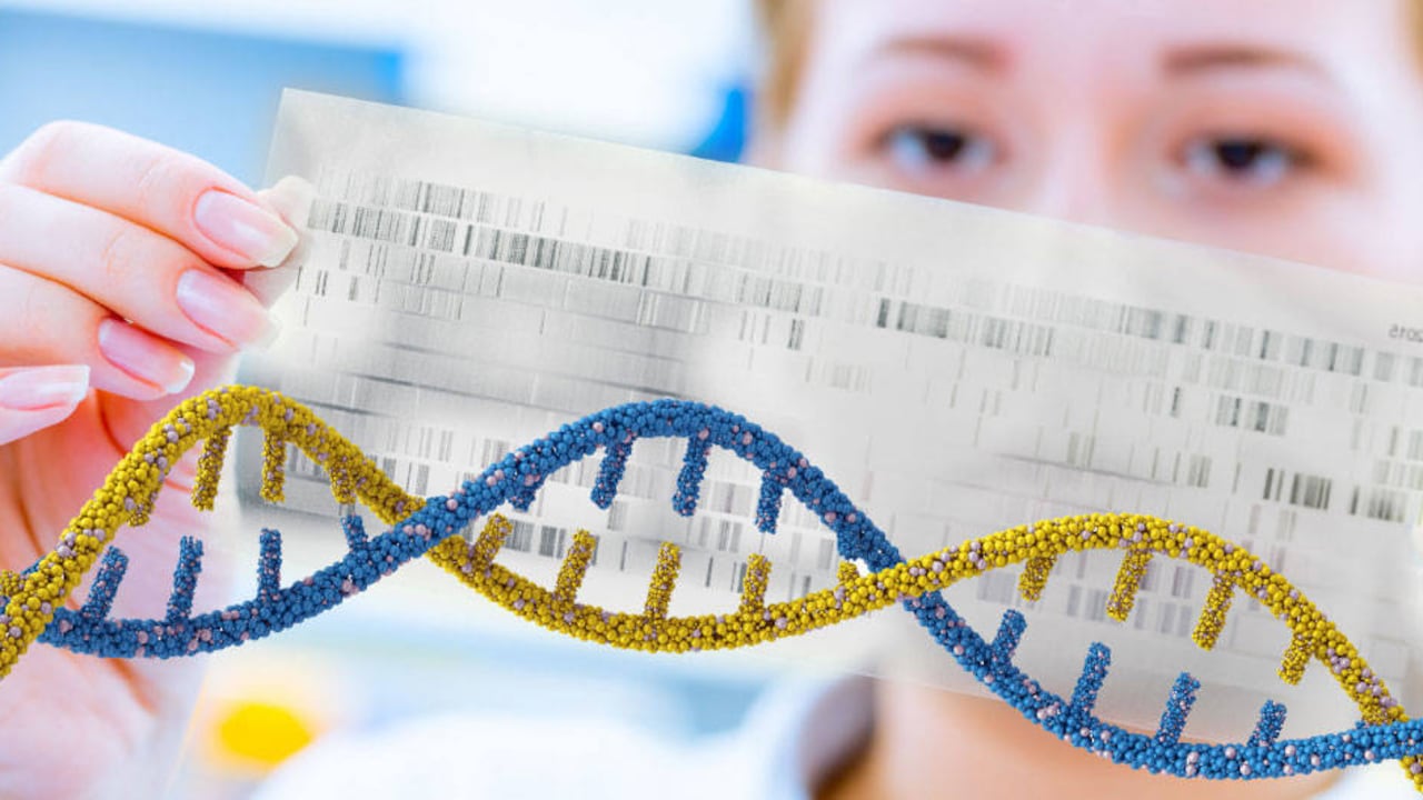 Foto: 123RF, Montaje: Javier de la Torre - SEMANA