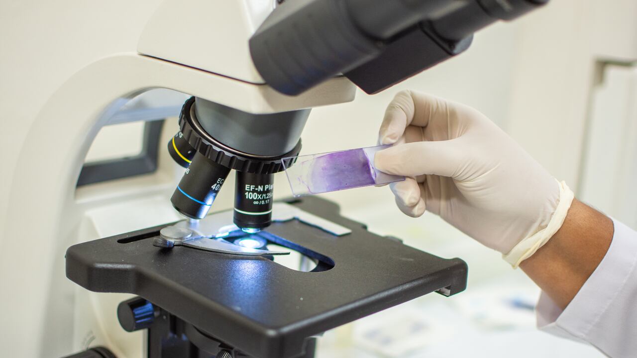 El laboratorio tendrá capacidades digitales de última generación para aportar a la eficiencia energética y descarbonización.