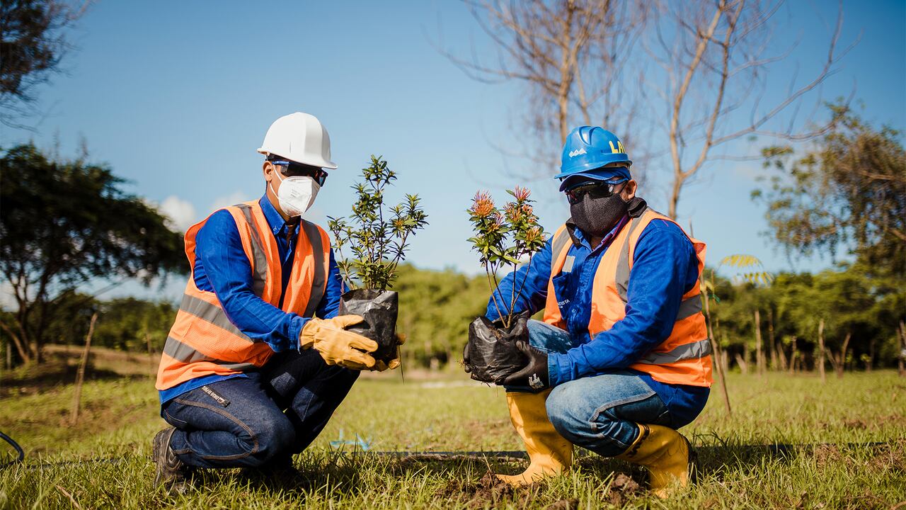 Un total de 7.171 estudiantes y docentes han participado en las actividades de Triple A para el buen manejo, disposición y presentación de los residuos sólidos.