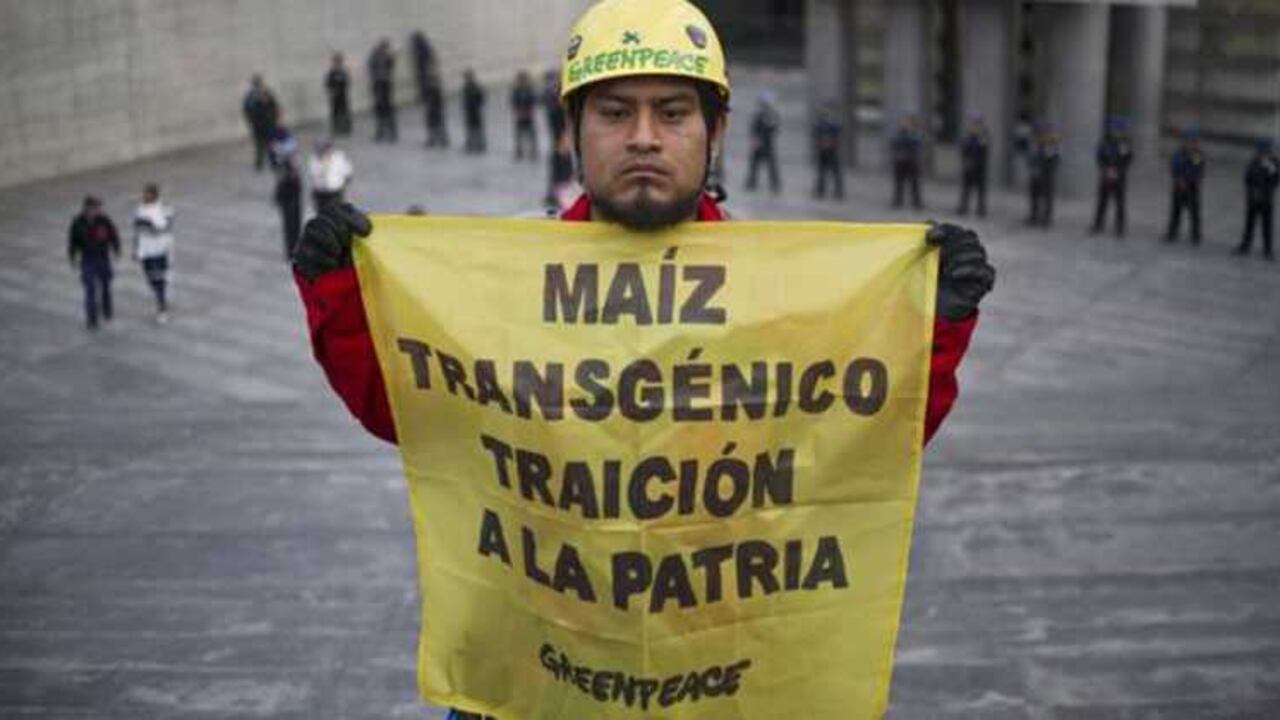Activista de Greenpeace.