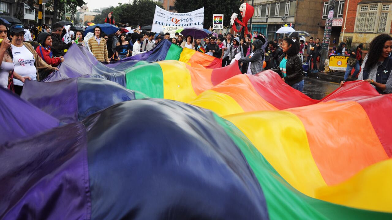 Este miércoles la Corte Constitucional le dijo no a la adopción gay.