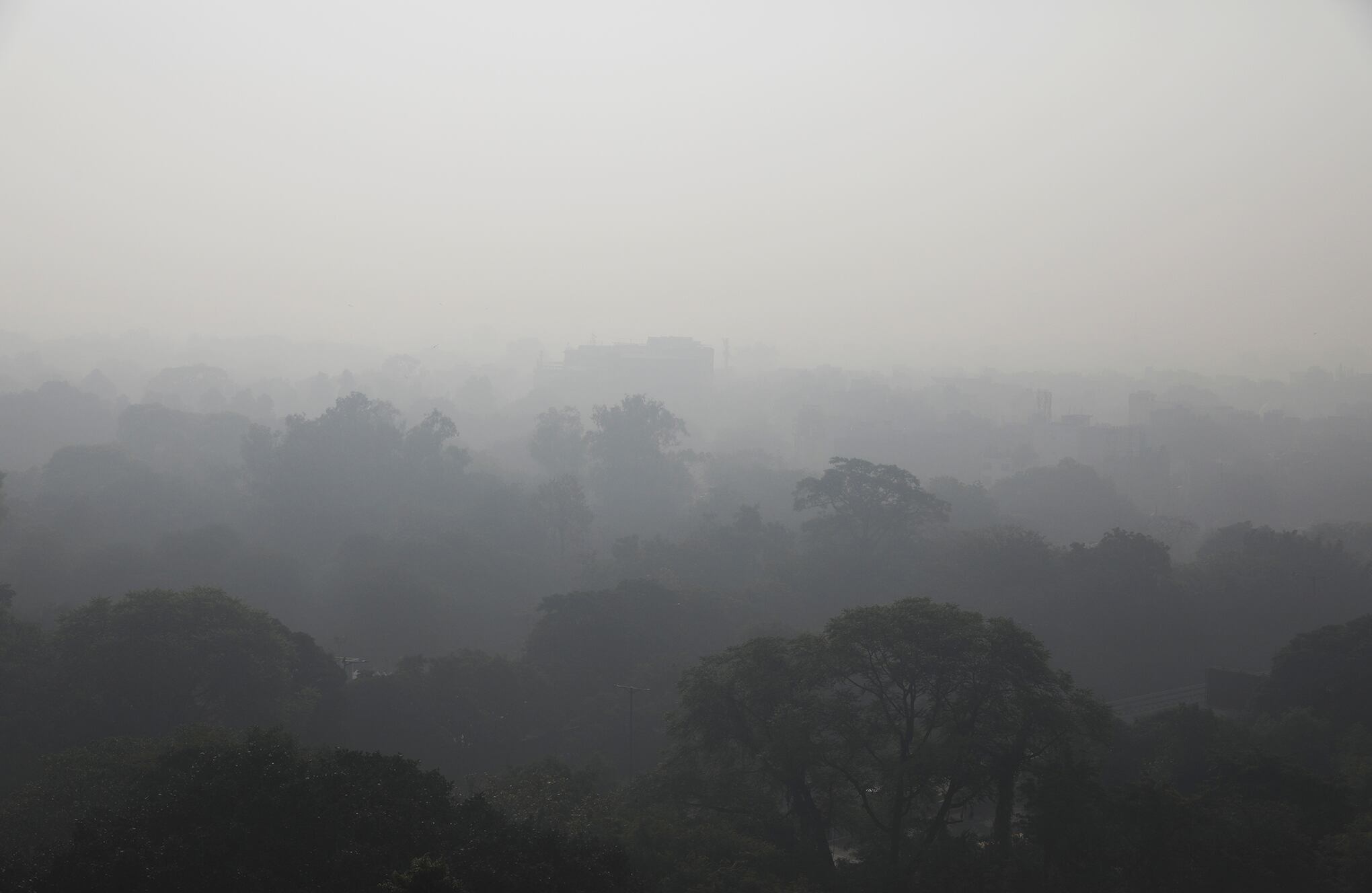 India ordena trabajar desde casa por la contaminación de Delhi